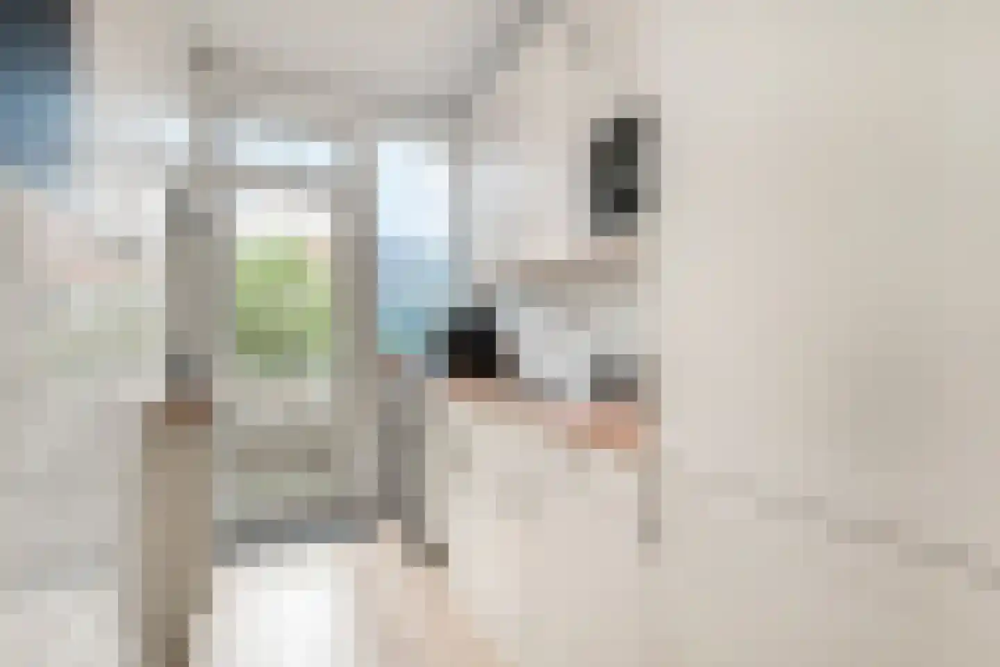 Soestdijksekade 659 Den Haag thumbnail 12