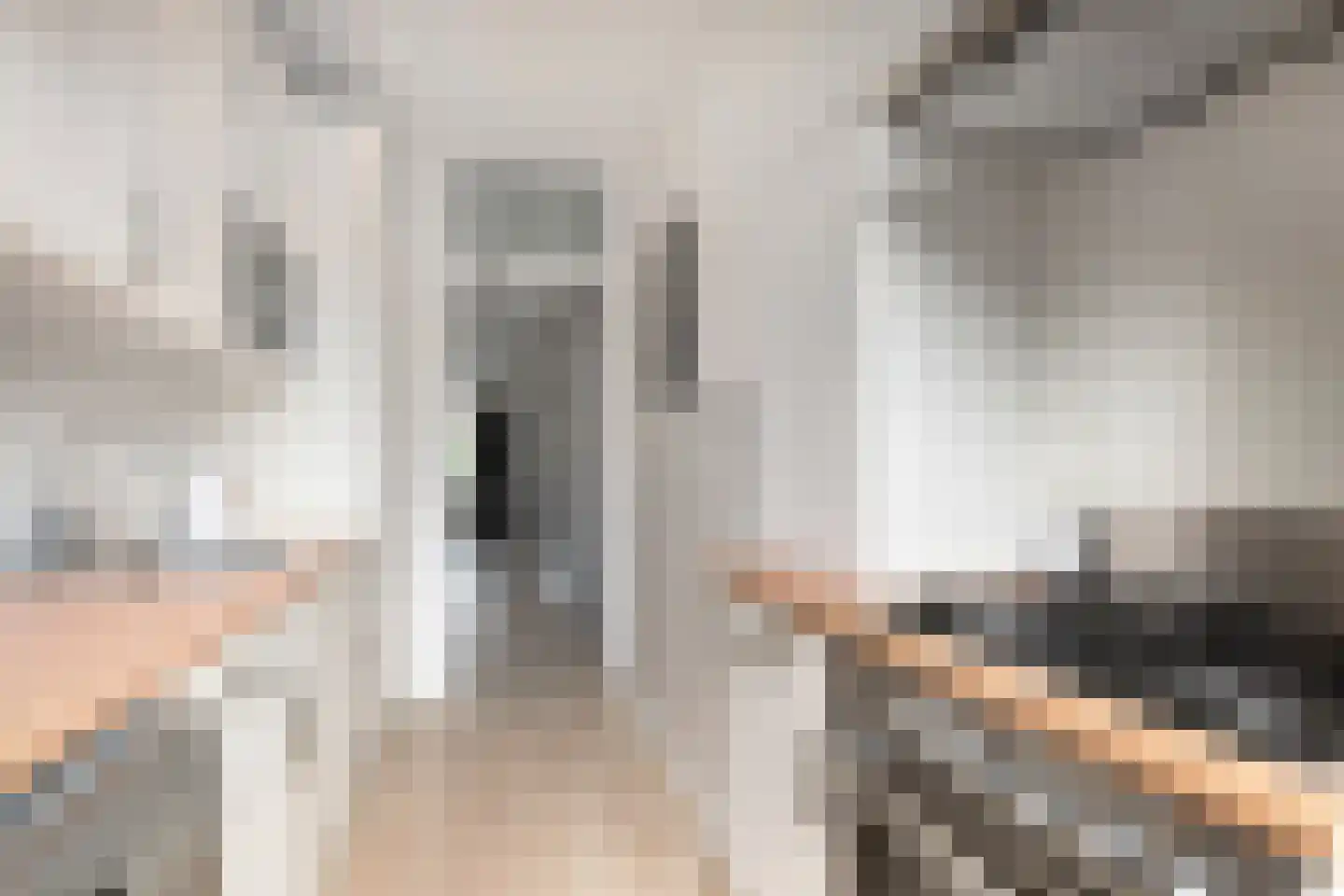 Soestdijksekade 659 Den Haag thumbnail 16