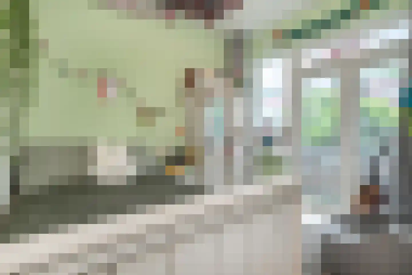 Soestdijksekade 659 Den Haag thumbnail 20