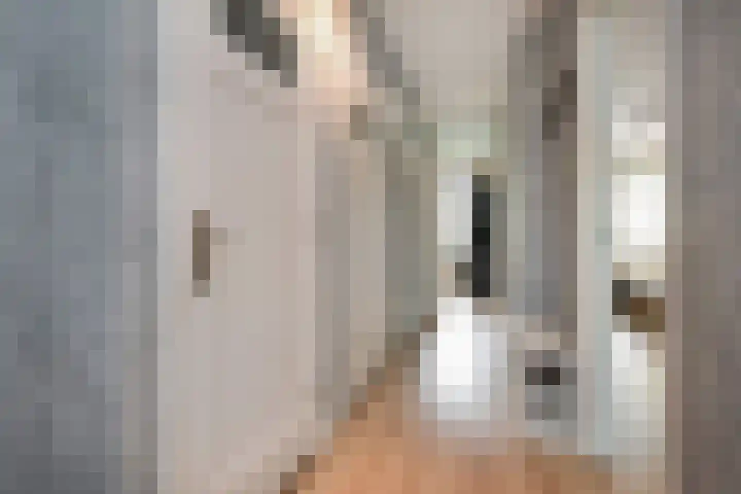 Soestdijksekade 659 Den Haag thumbnail 26