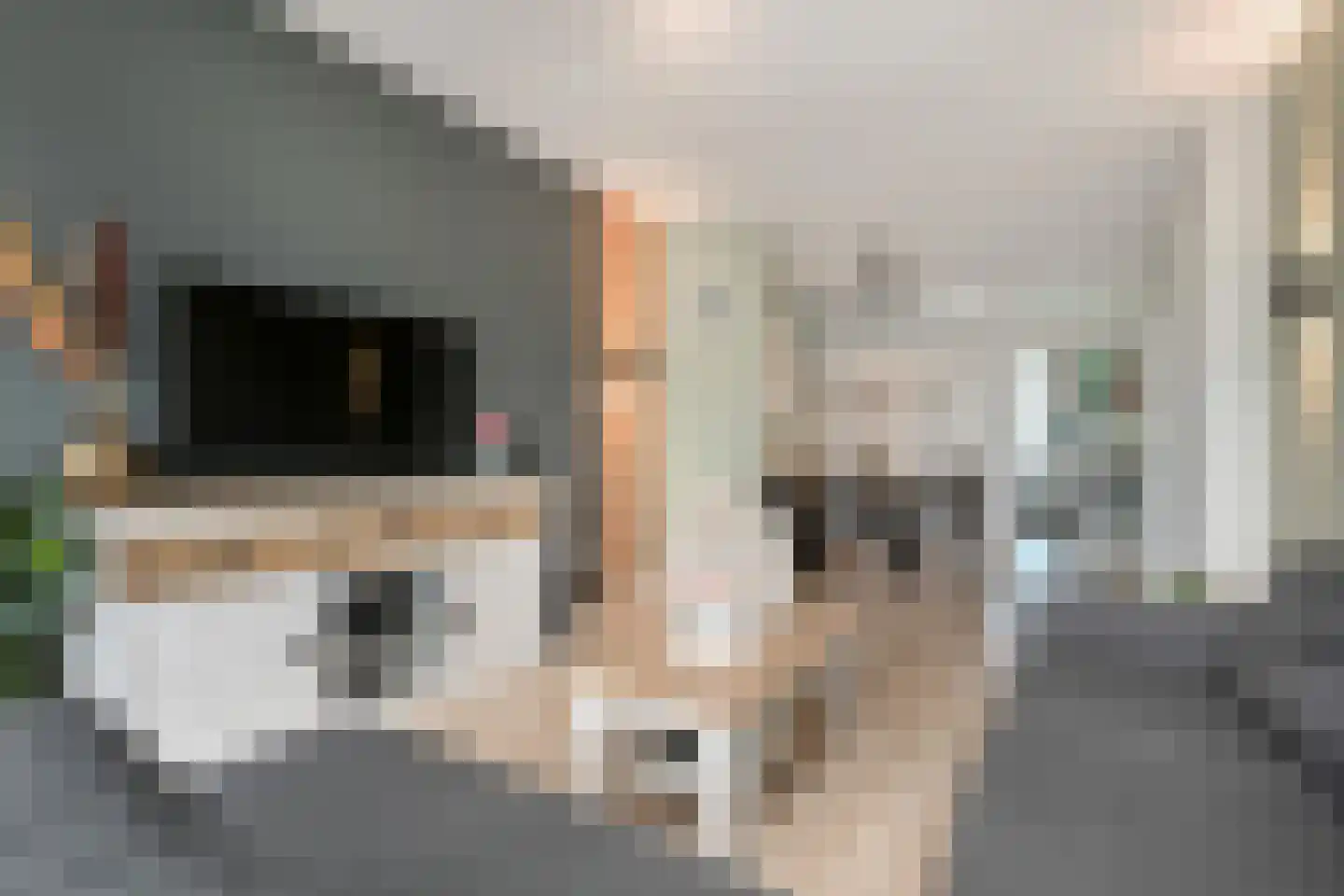 Soestdijksekade 659 Den Haag thumbnail 4