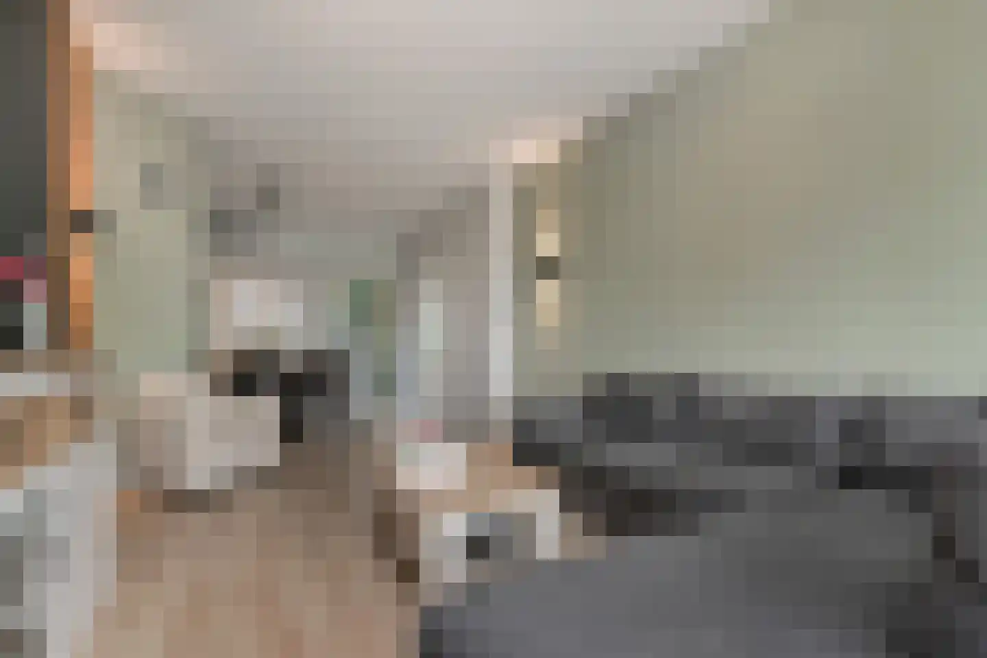 Soestdijksekade 659 Den Haag thumbnail 5
