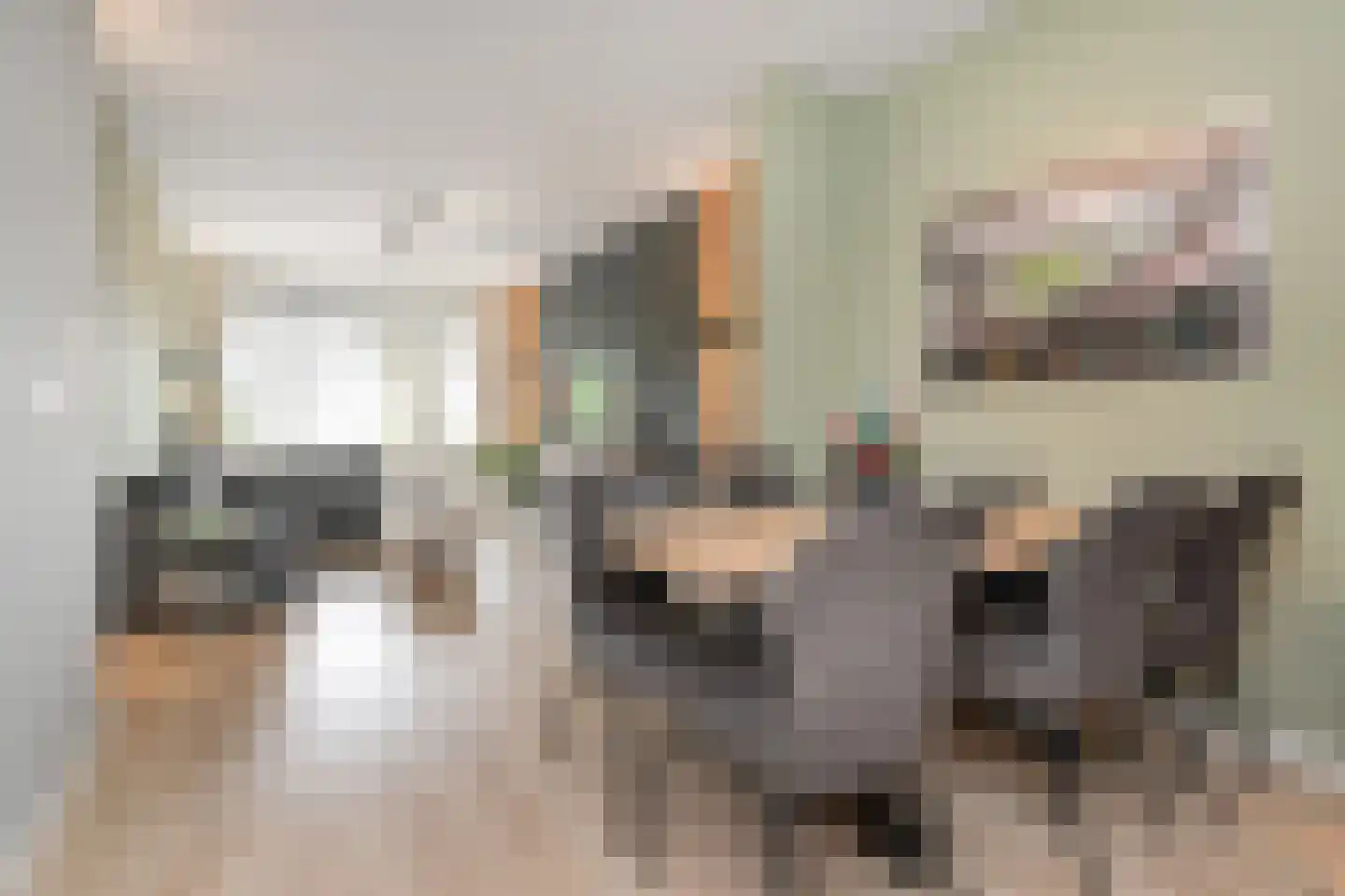Soestdijksekade 659 Den Haag thumbnail 7