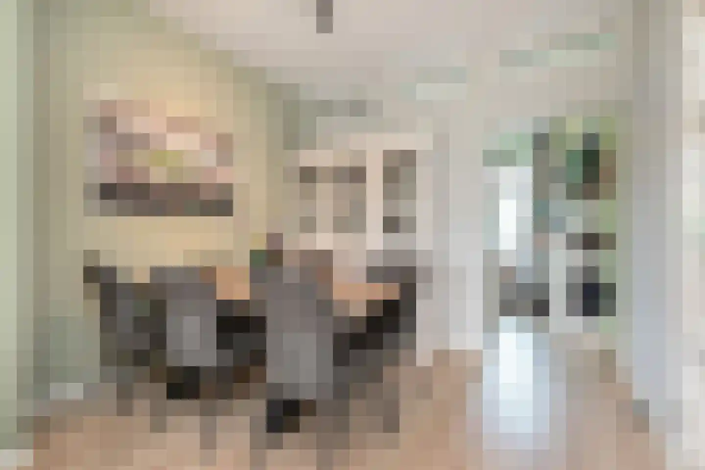 Soestdijksekade 659 Den Haag thumbnail 9