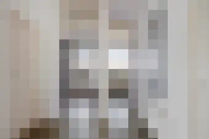 Soestdijksekade 66 Den Haag thumbnail 12