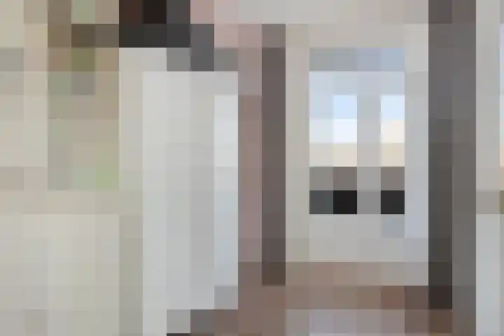 Soestdijksekade 66 Den Haag thumbnail 15