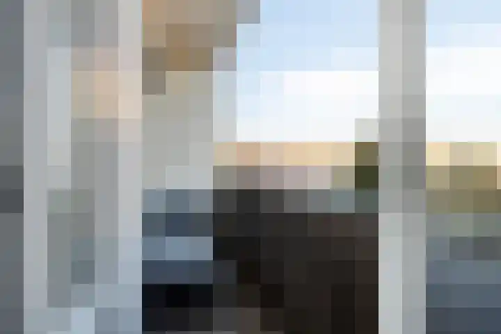 Soestdijksekade 66 Den Haag thumbnail 17