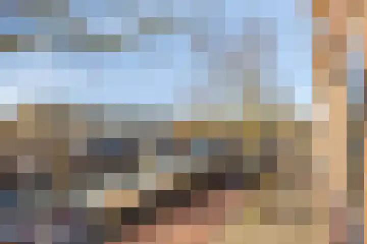 Soestdijksekade 66 Den Haag thumbnail 4