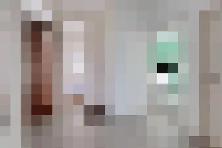 Soestdijksekade 66 Den Haag thumbnail 6