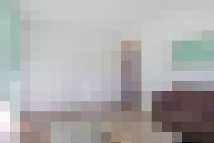 Soestdijksekade 66 Den Haag thumbnail 8