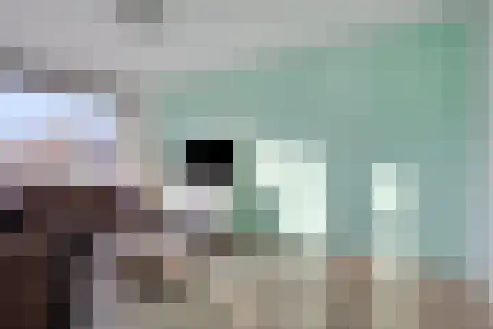 Soestdijksekade 66 Den Haag thumbnail 9