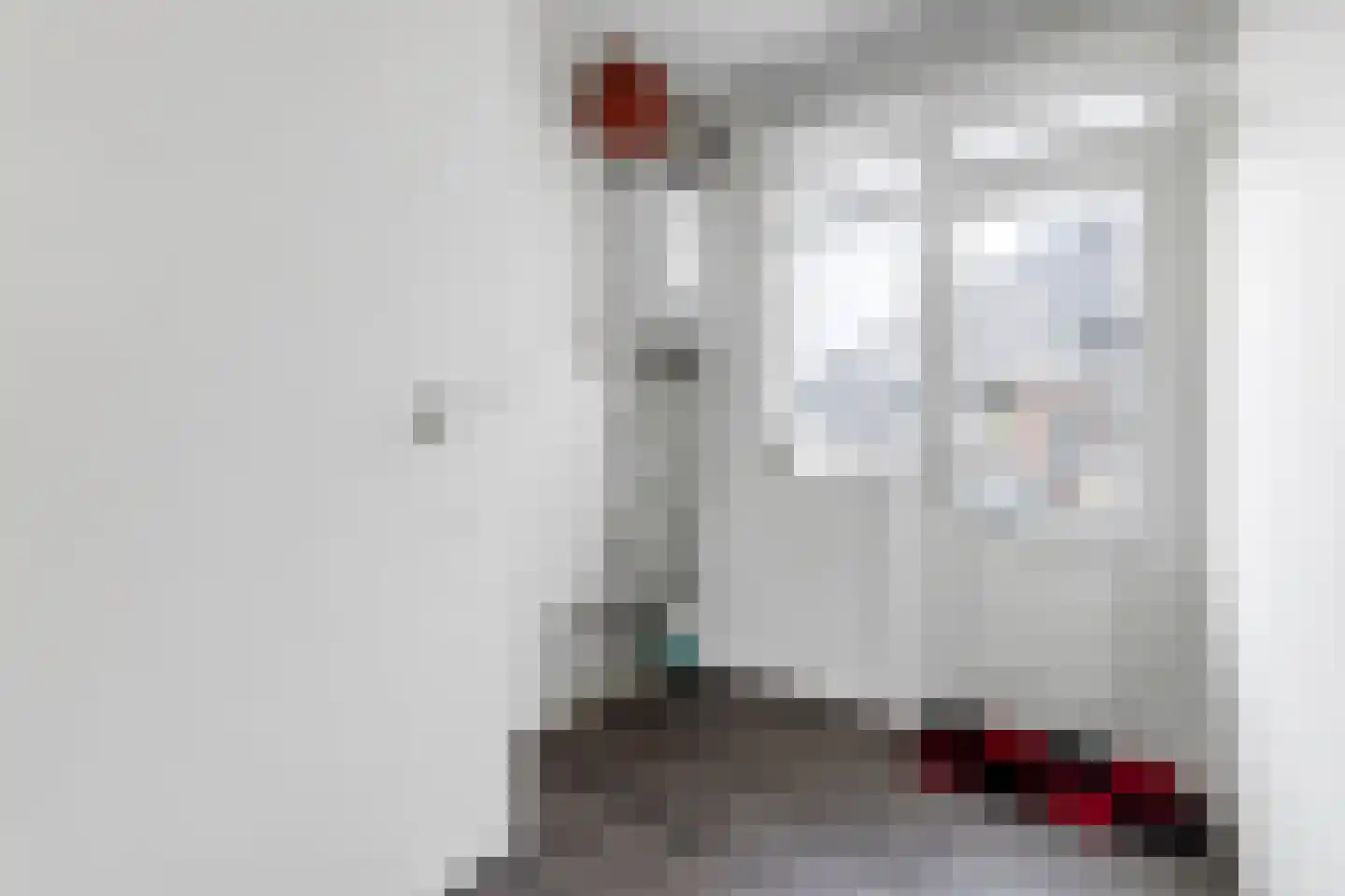 Soestdijksekade 670 Den Haag thumbnail 14