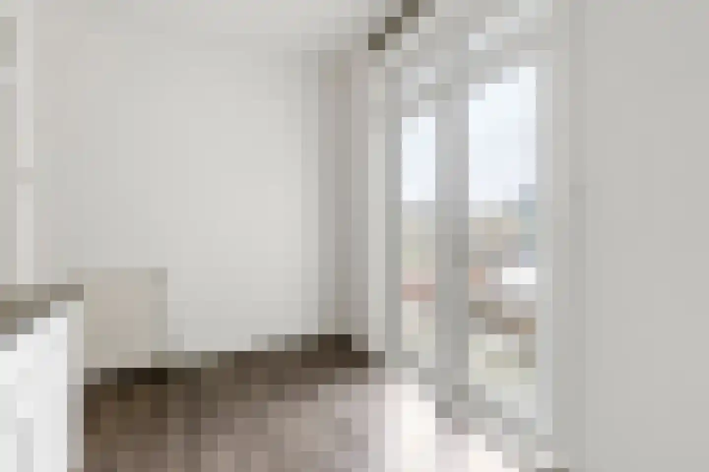 Soestdijksekade 670 Den Haag thumbnail 25