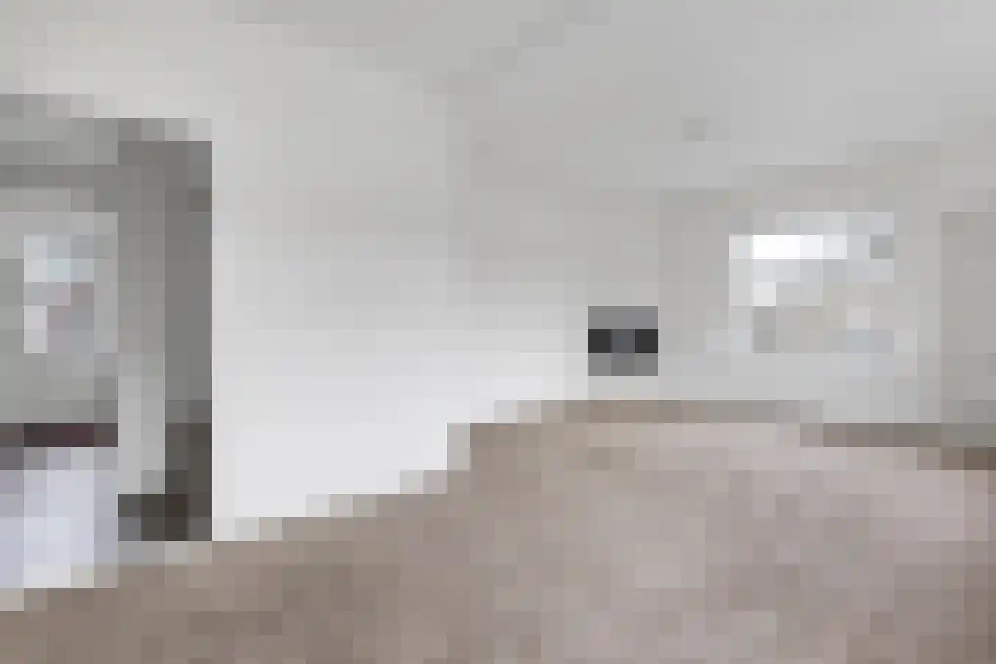 Soestdijksekade 670 Den Haag thumbnail 4