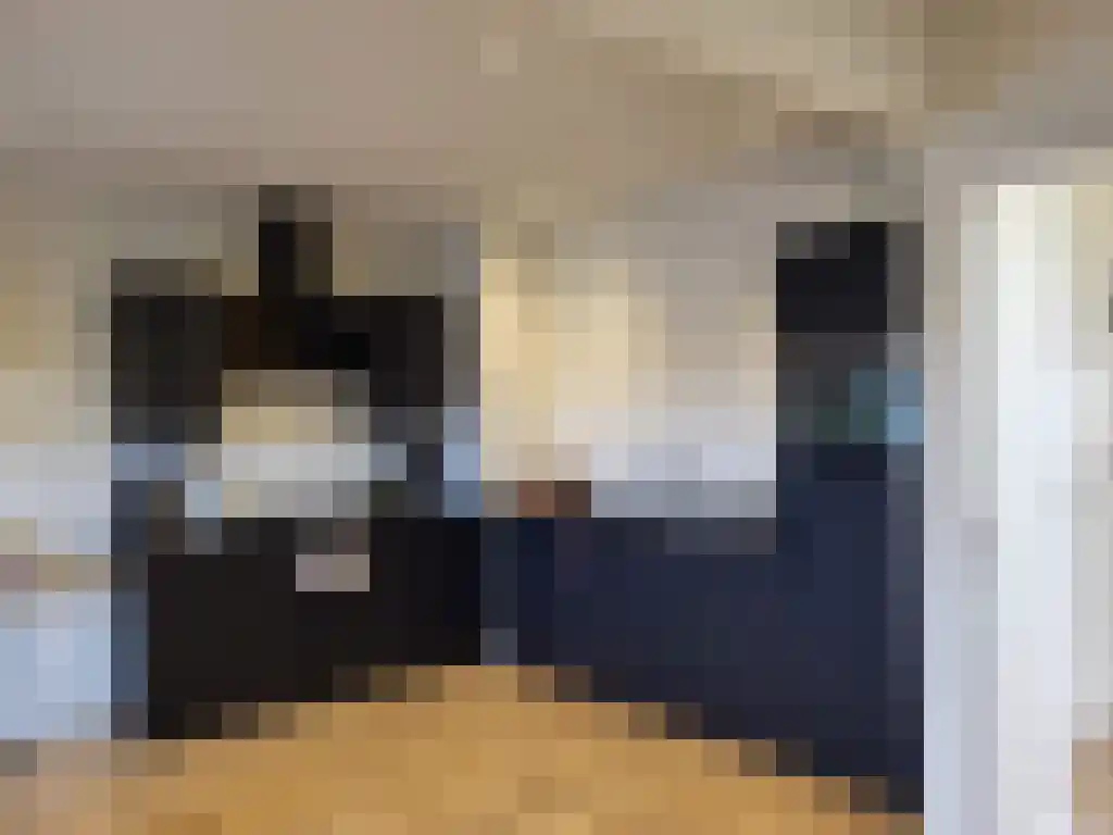 Soestdijksekade 681 Den Haag thumbnail 4