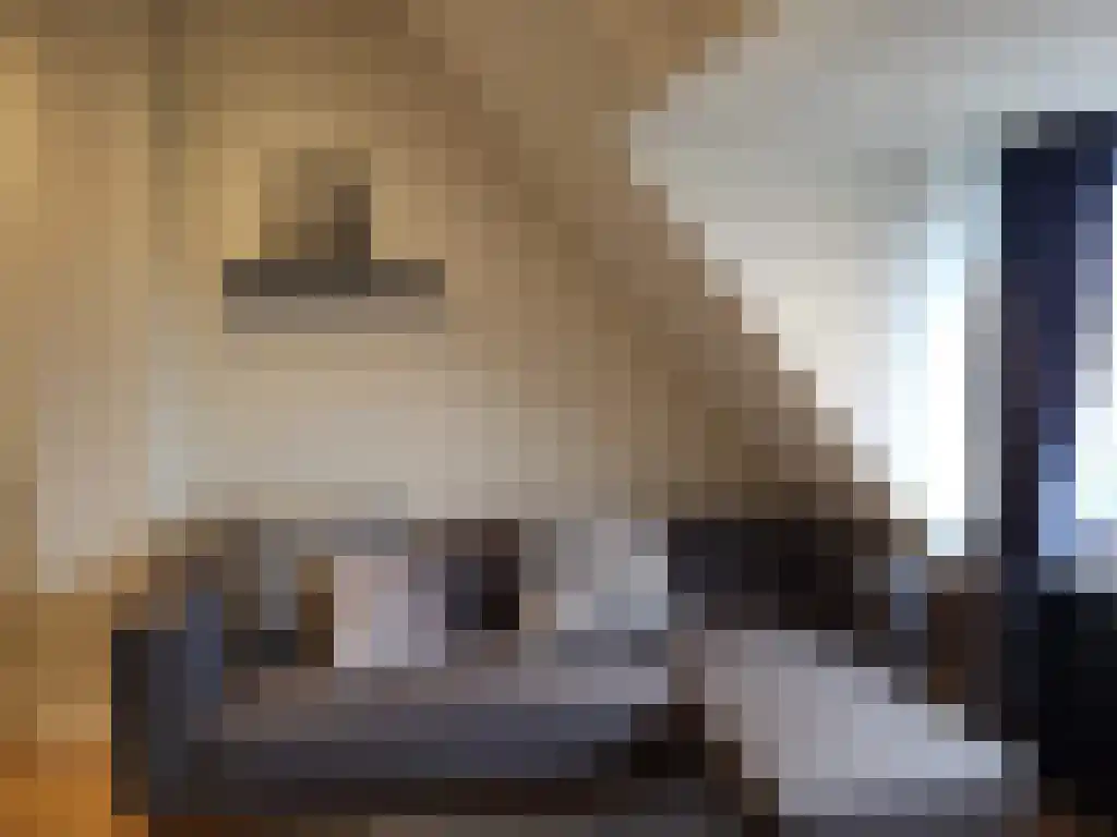 Soestdijksekade 681 Den Haag thumbnail 5