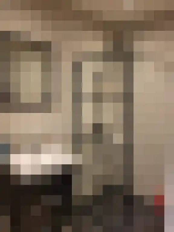 Soestdijksekade 681 Den Haag thumbnail 6