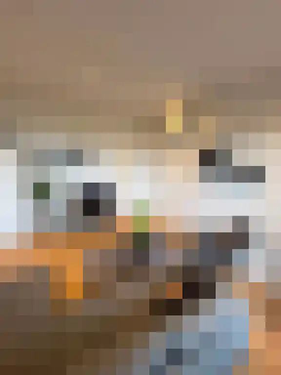 Soestdijksekade 683 Den Haag thumbnail 4