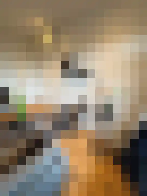 Soestdijksekade 683 Den Haag thumbnail 6