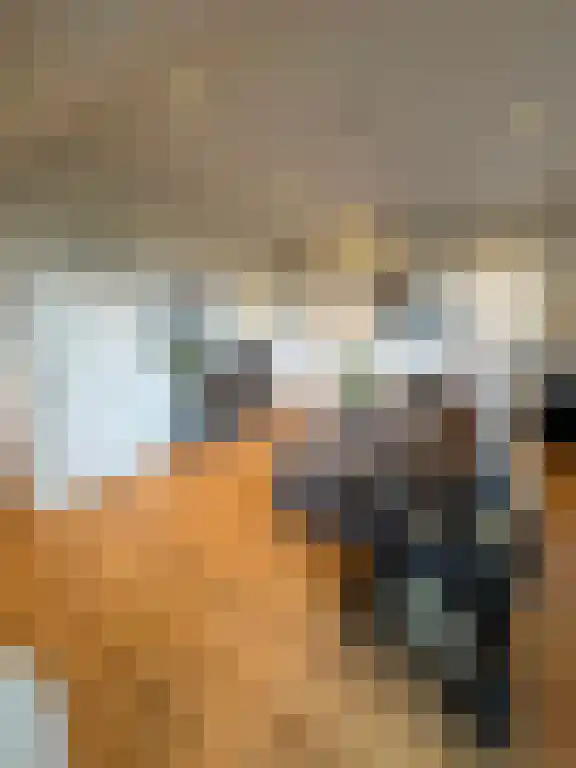 Soestdijksekade 685 Den Haag thumbnail 5