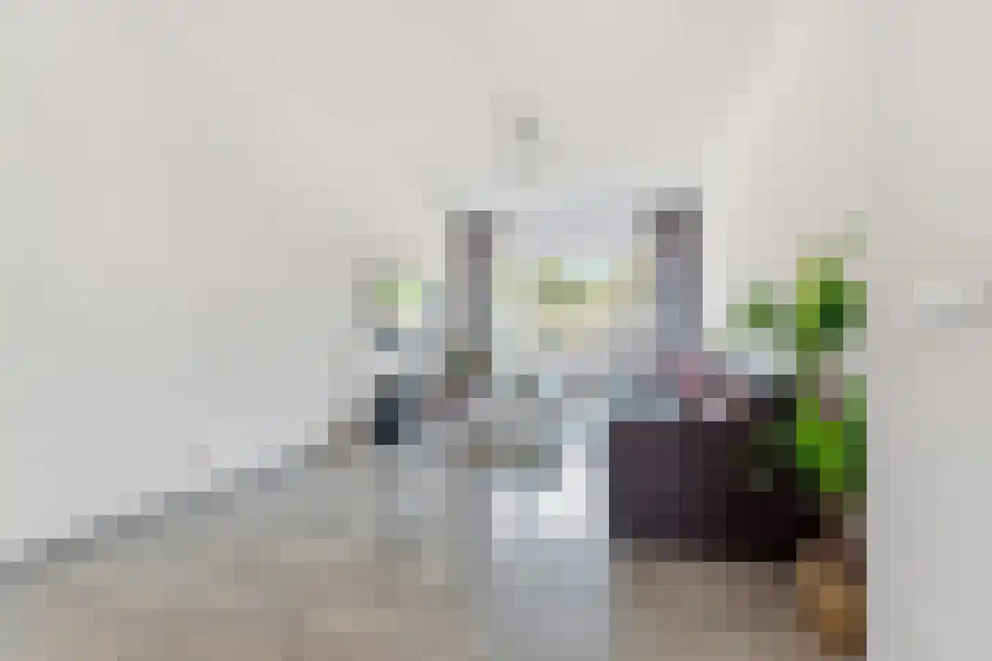 Soestdijksekade 699 Den Haag