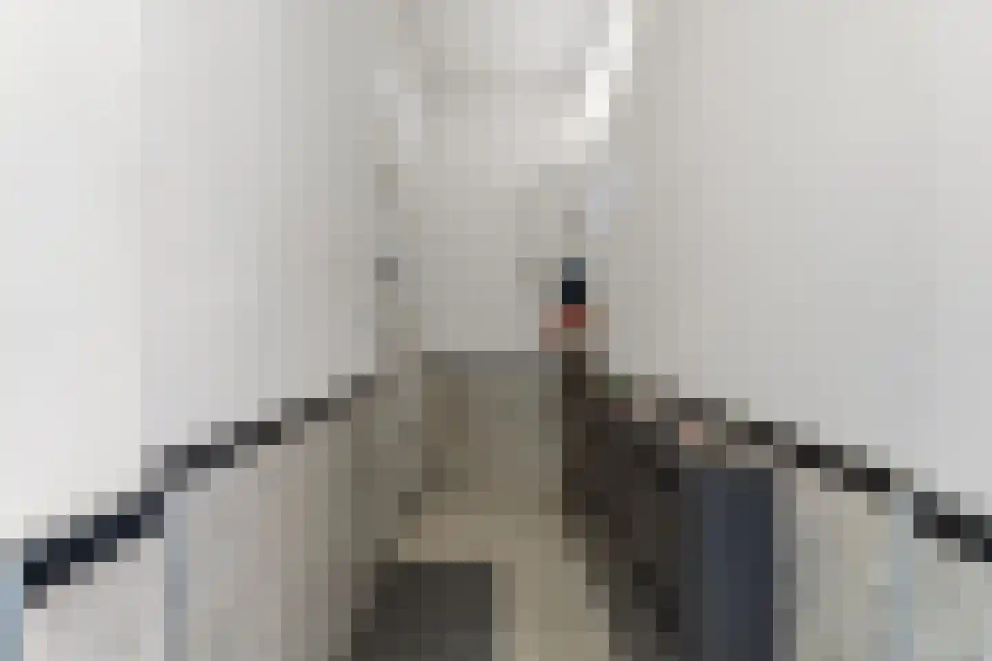 Soestdijksekade 699 Den Haag thumbnail 11