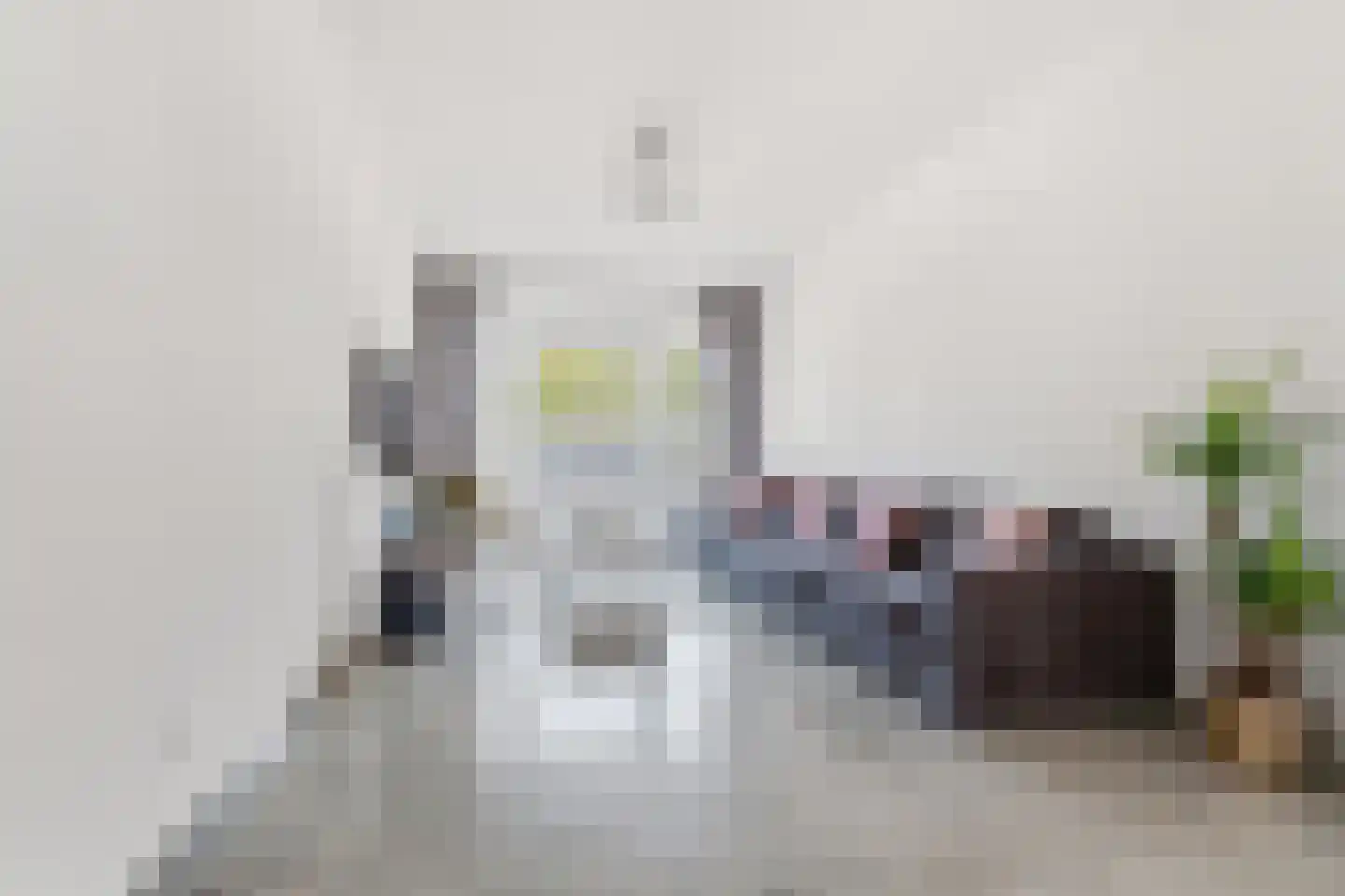 Soestdijksekade 699 Den Haag thumbnail 12