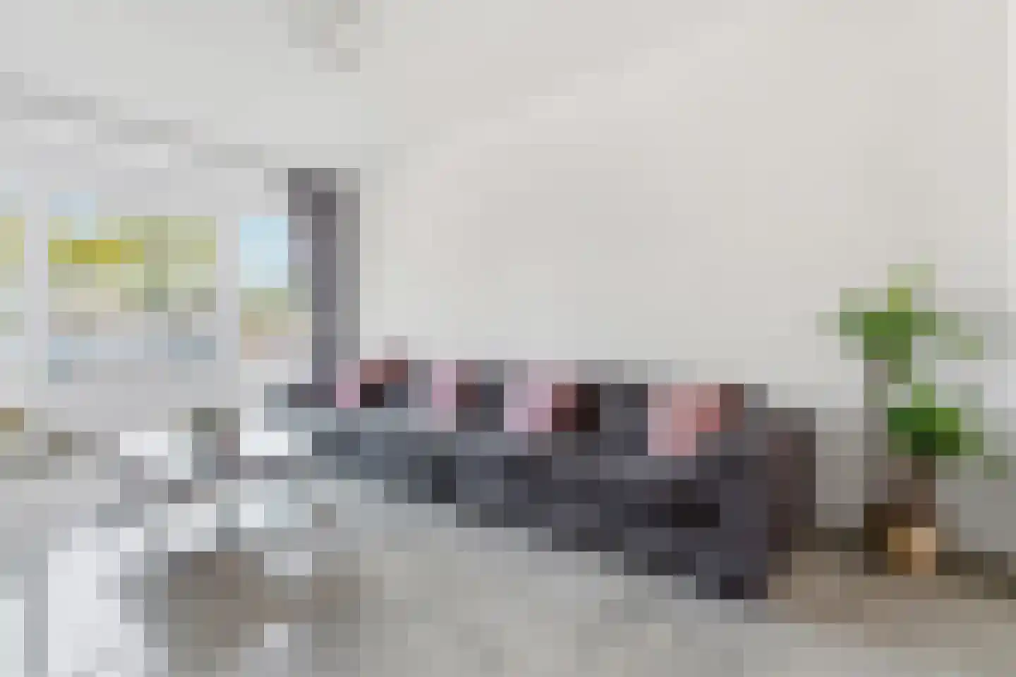 Soestdijksekade 699 Den Haag thumbnail 13