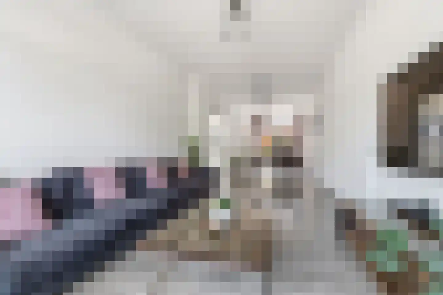 Soestdijksekade 699 Den Haag thumbnail 15