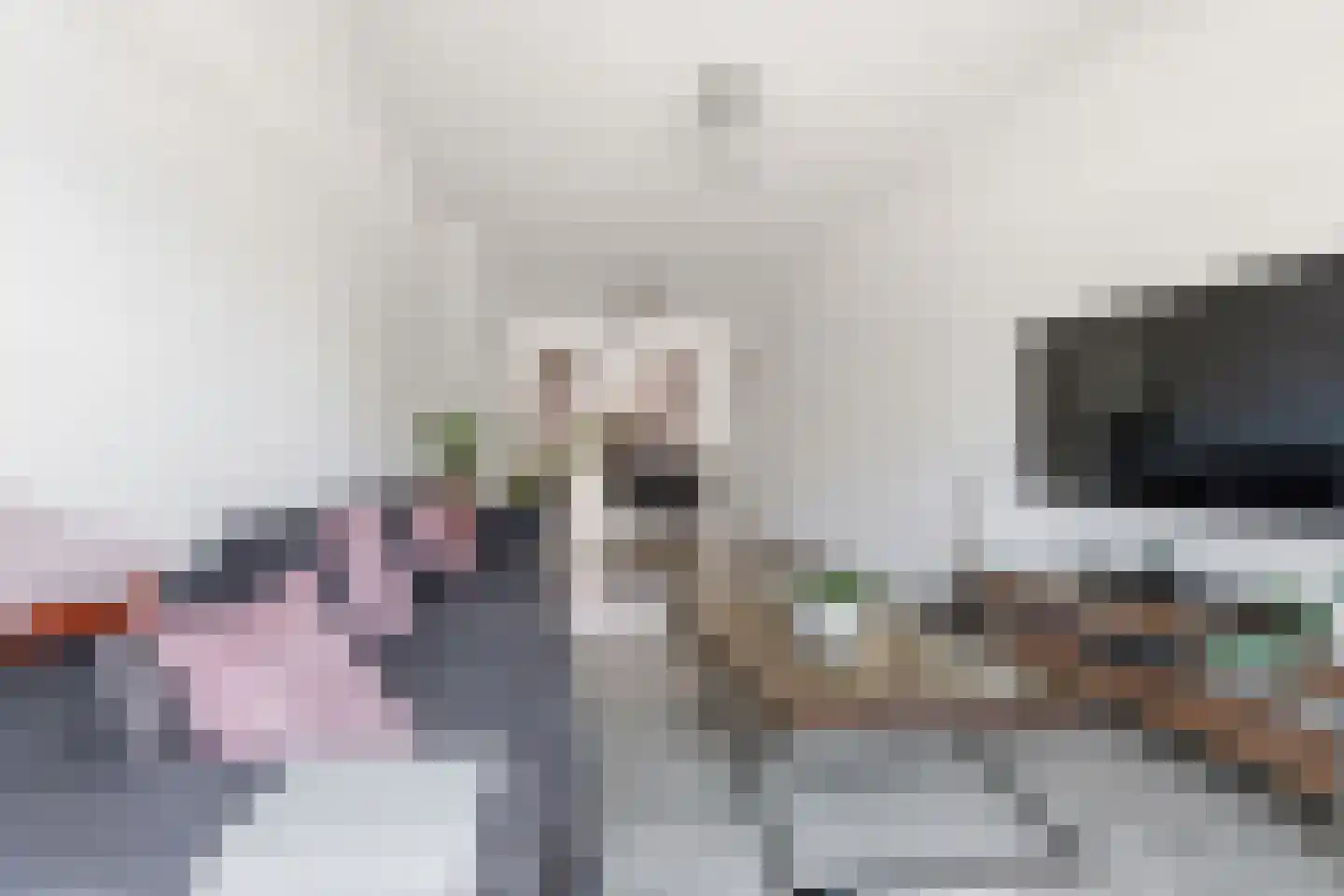 Soestdijksekade 699 Den Haag thumbnail 16