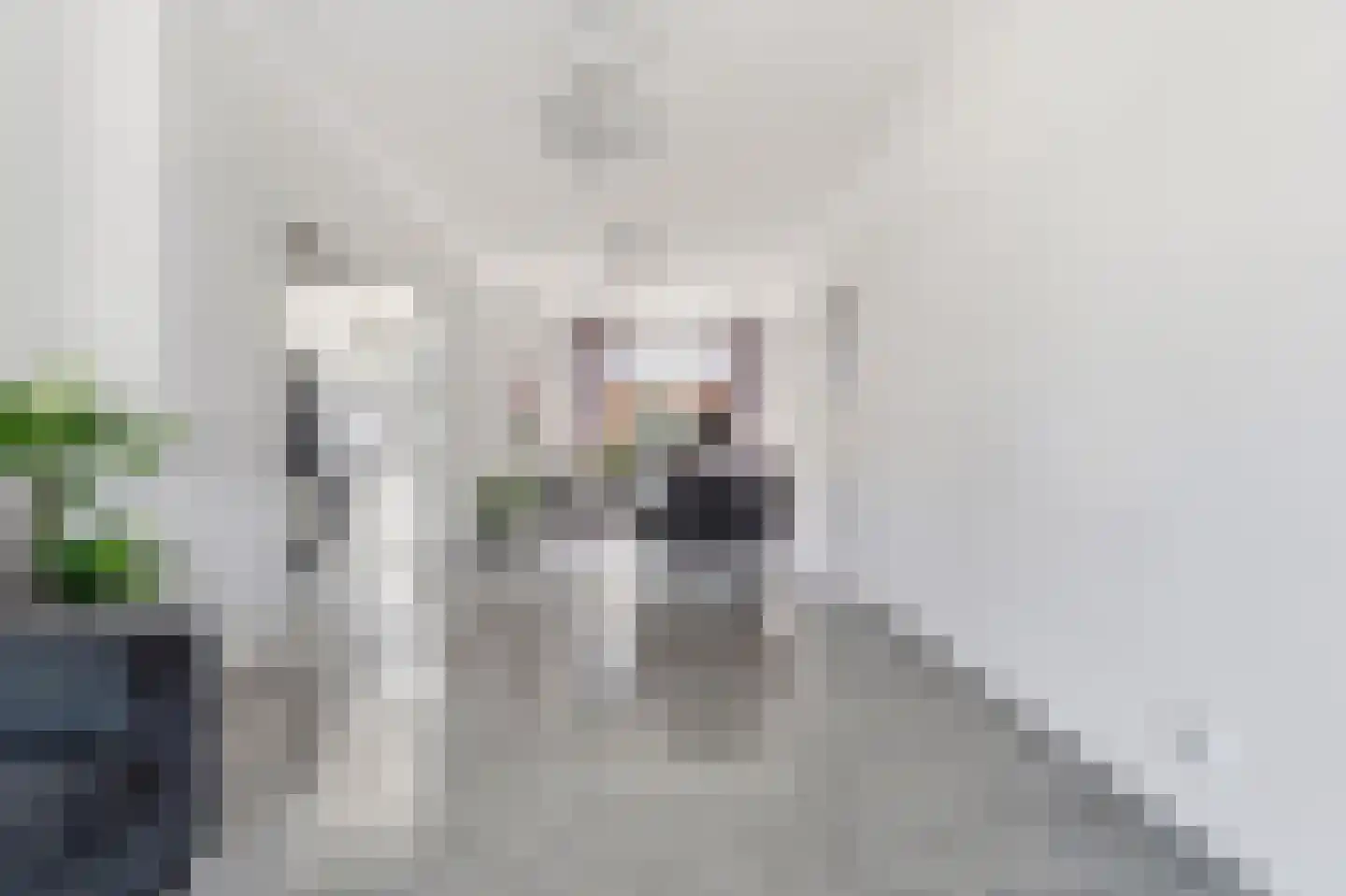 Soestdijksekade 699 Den Haag thumbnail 17