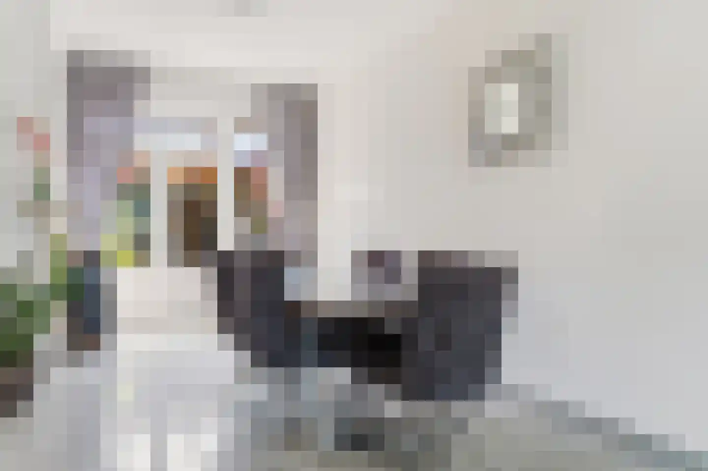 Soestdijksekade 699 Den Haag thumbnail 18
