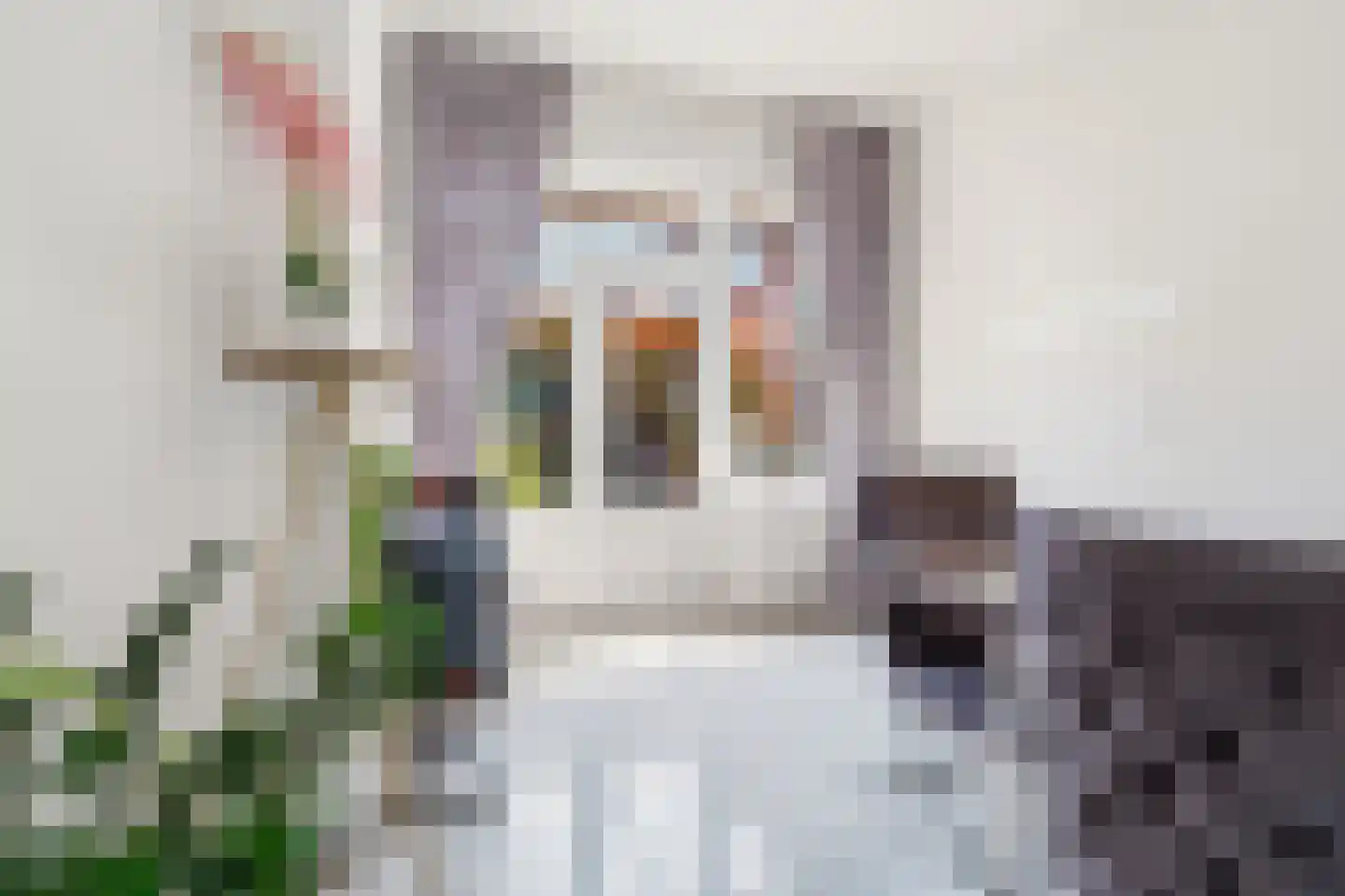 Soestdijksekade 699 Den Haag thumbnail 20