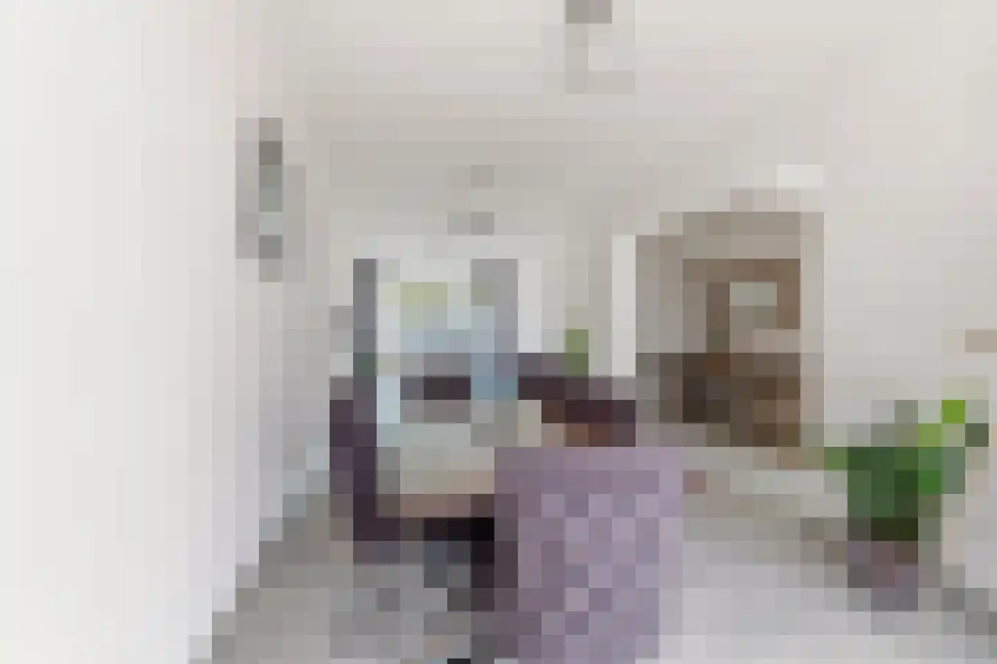 Soestdijksekade 699 Den Haag thumbnail 21
