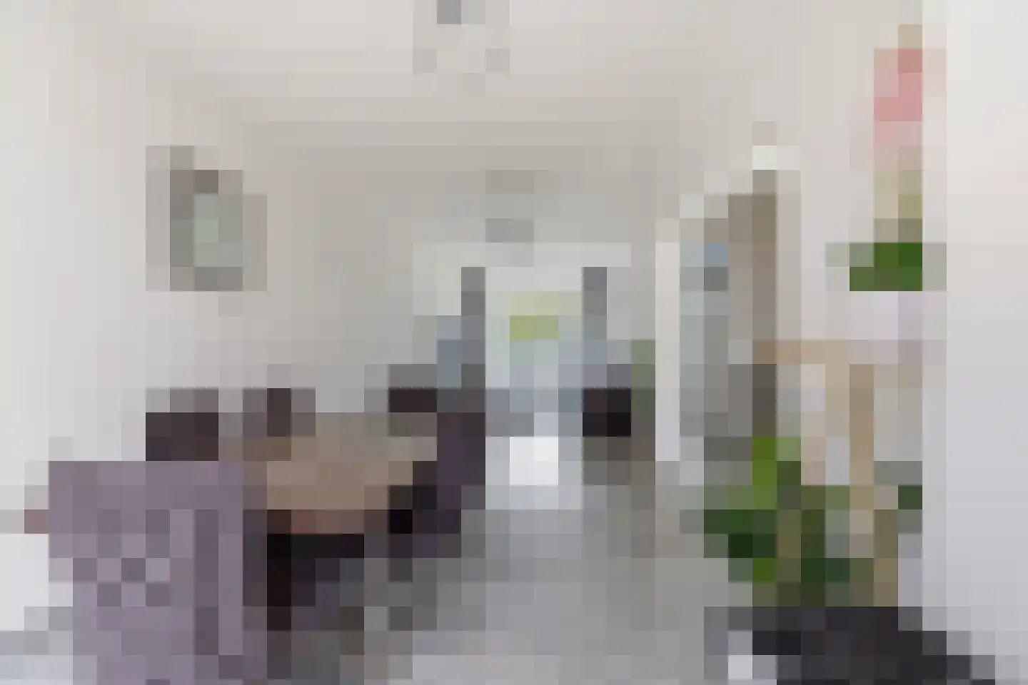 Soestdijksekade 699 Den Haag thumbnail 22