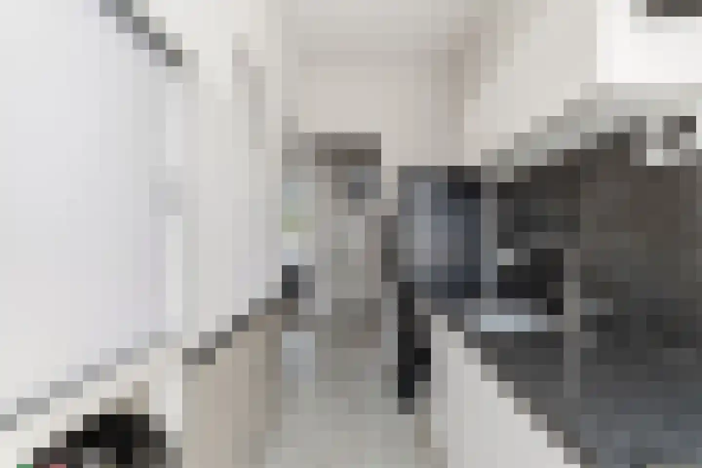 Soestdijksekade 699 Den Haag thumbnail 23