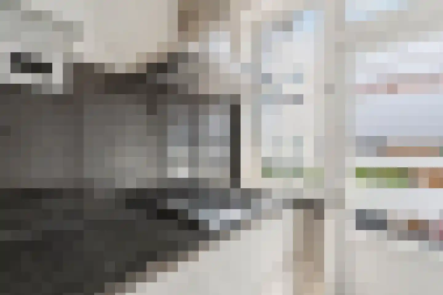 Soestdijksekade 699 Den Haag thumbnail 24