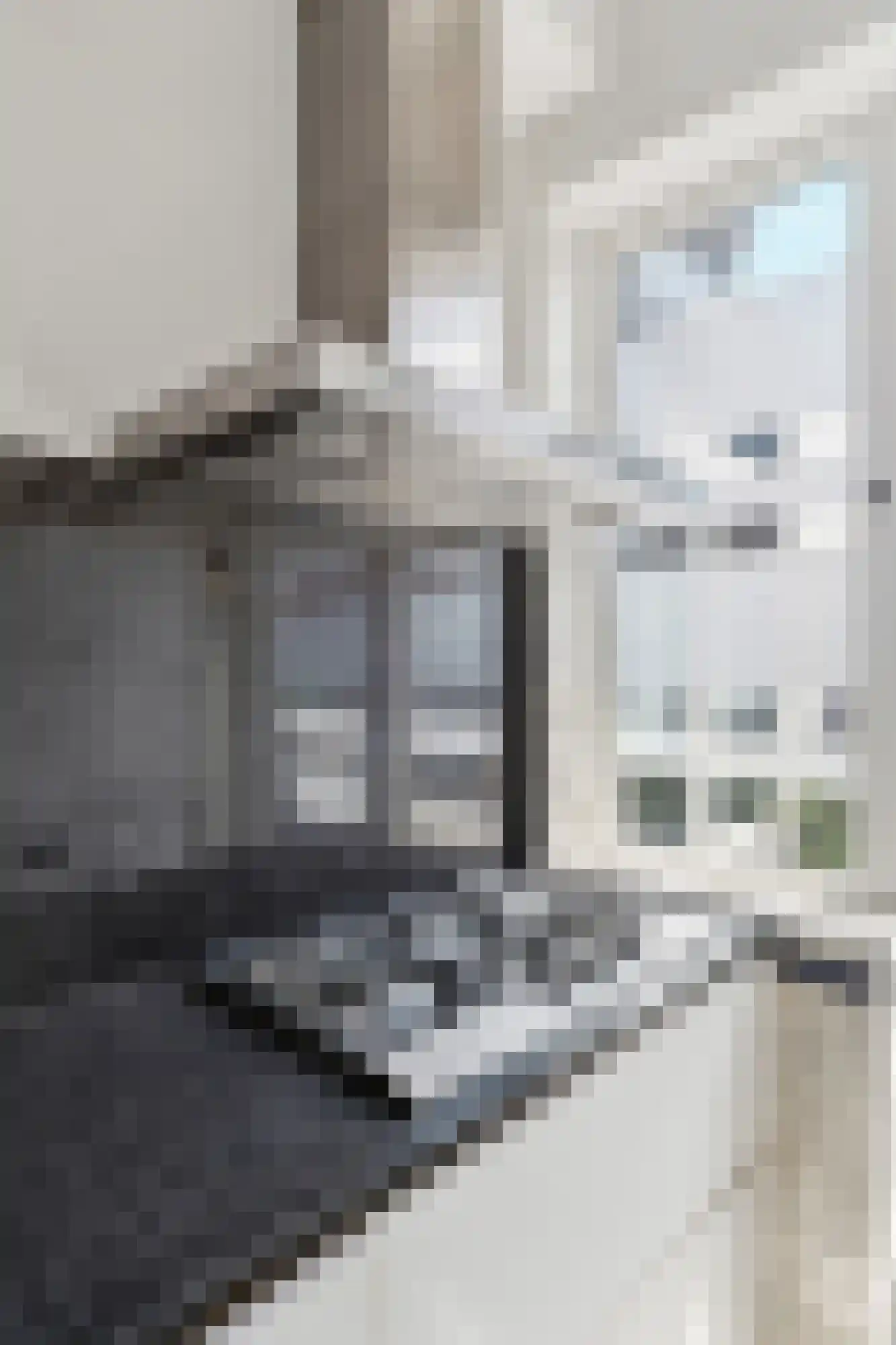 Soestdijksekade 699 Den Haag thumbnail 28