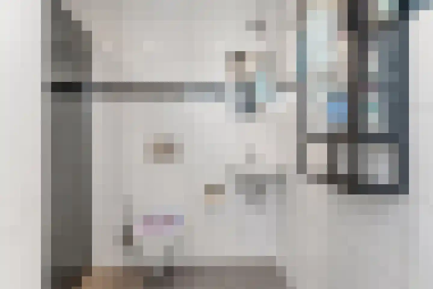 Soestdijksekade 699 Den Haag thumbnail 34