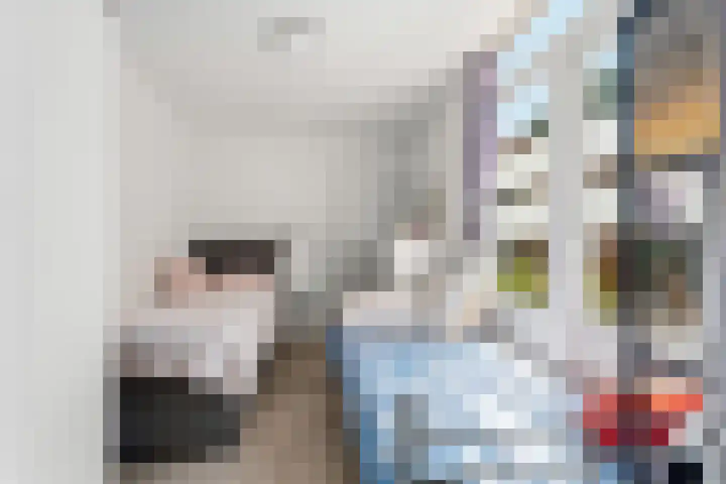 Soestdijksekade 699 Den Haag thumbnail 39
