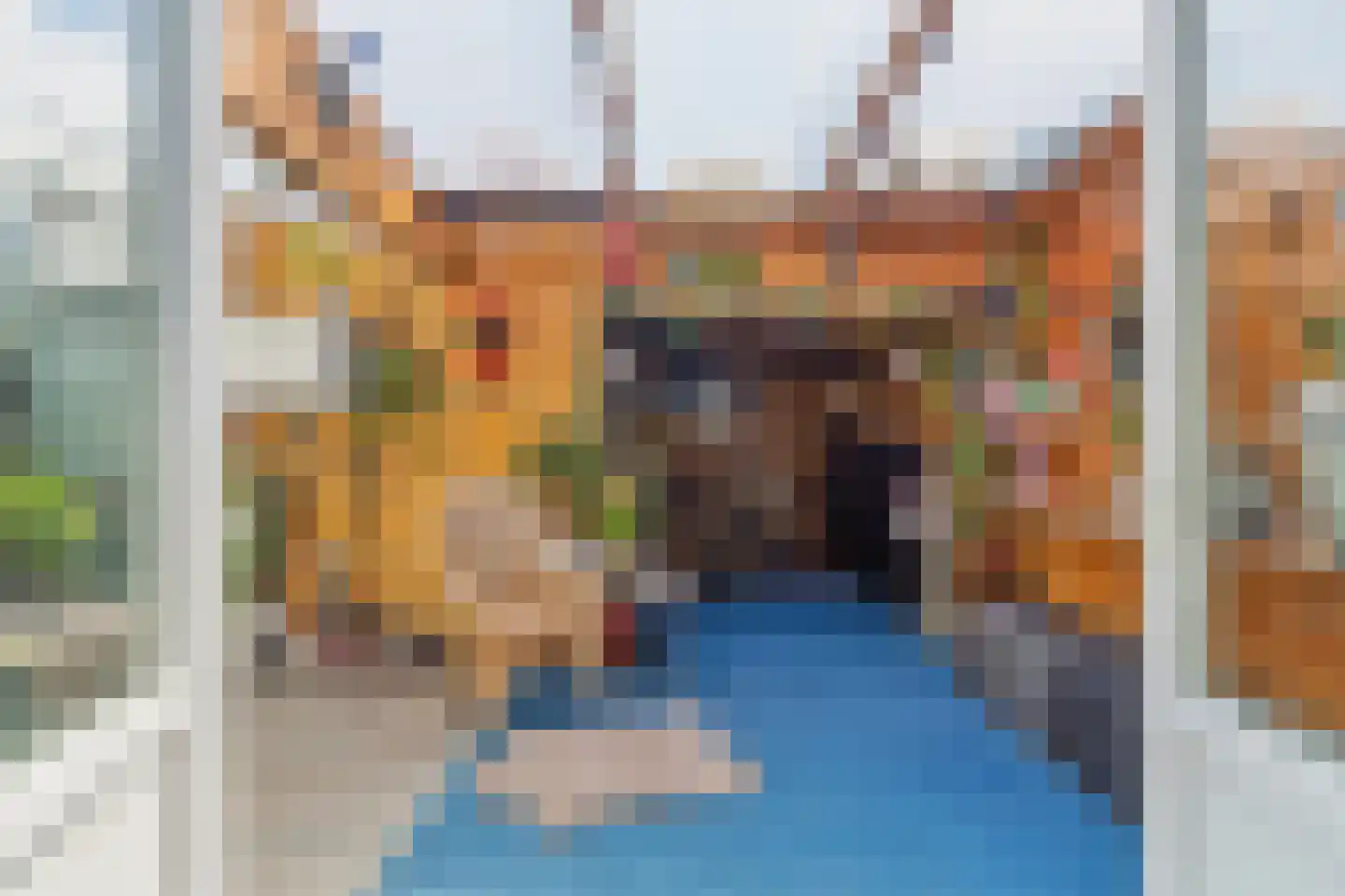 Soestdijksekade 699 Den Haag thumbnail 42