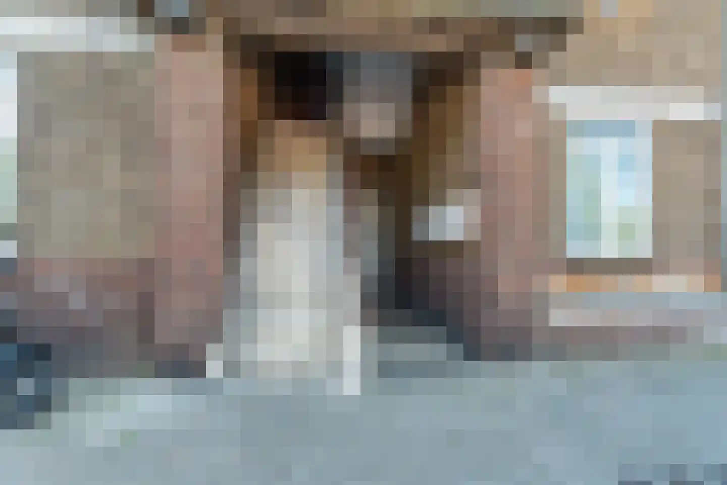 Soestdijksekade 699 Den Haag thumbnail 6