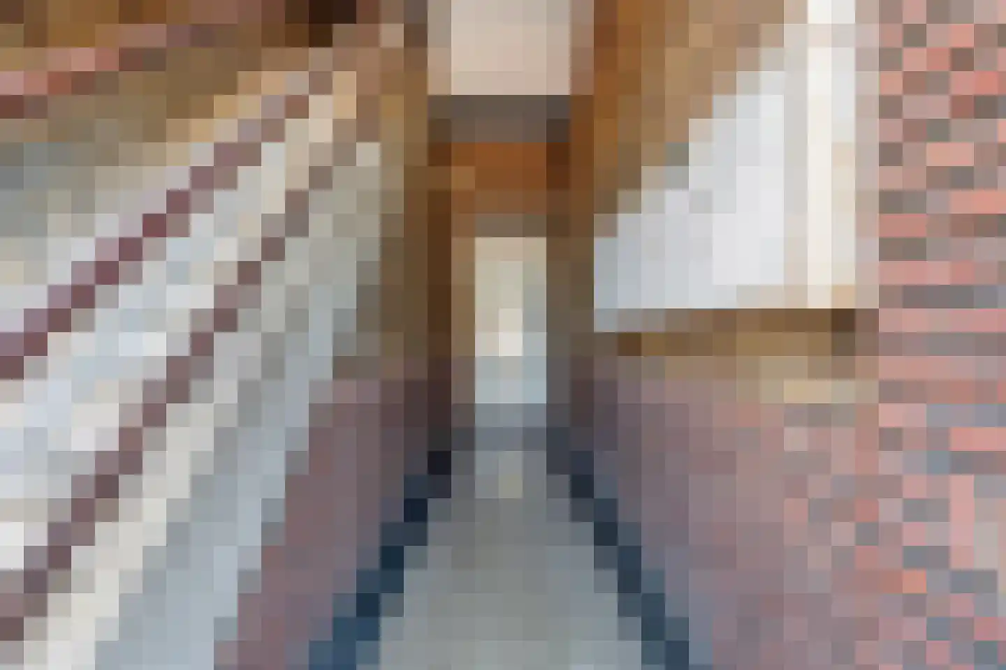 Soestdijksekade 699 Den Haag thumbnail 7