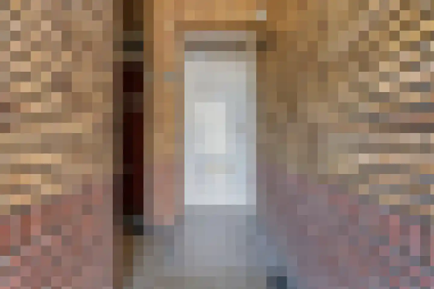 Soestdijksekade 699 Den Haag thumbnail 8