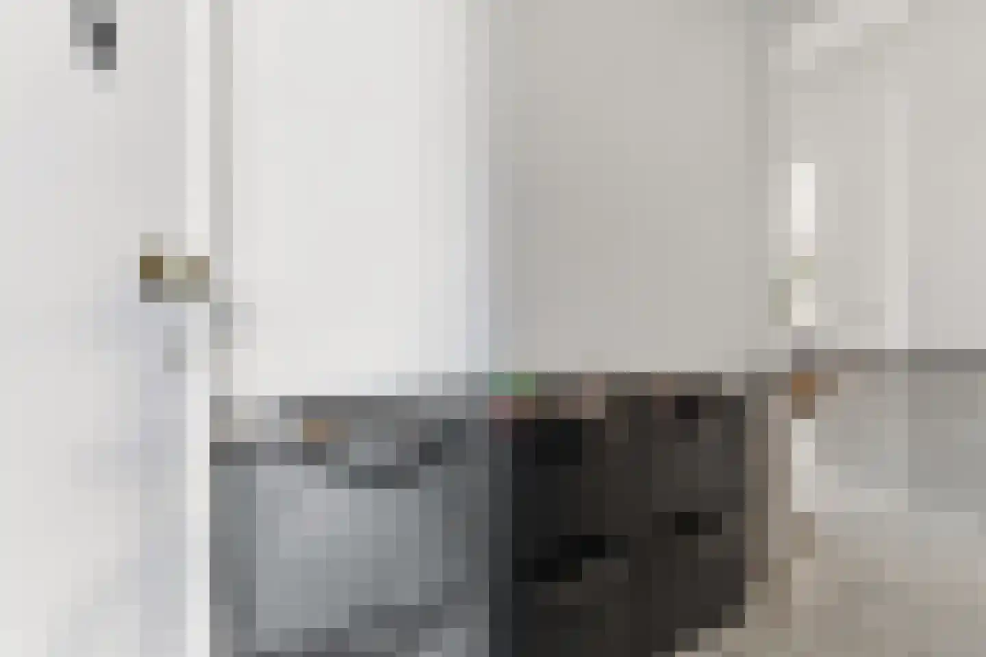 Soestdijksekade 699 Den Haag thumbnail 9