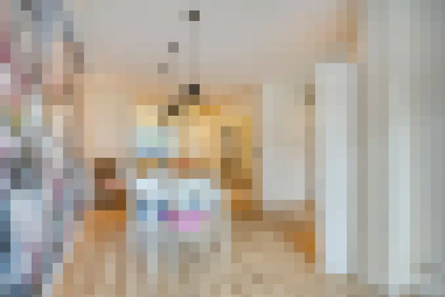 Soestdijksekade 727 Den Haag thumbnail 11