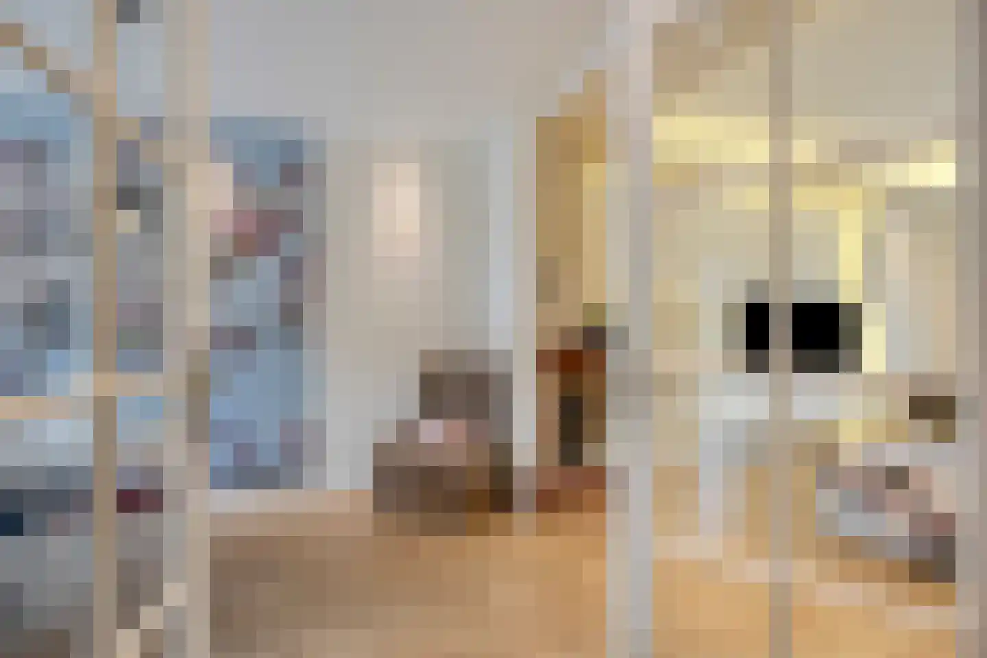 Soestdijksekade 727 Den Haag thumbnail 12