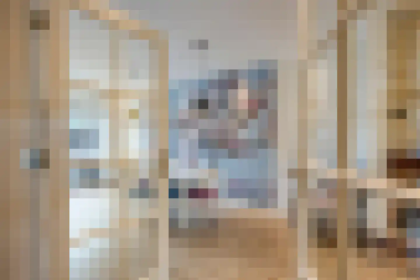 Soestdijksekade 727 Den Haag thumbnail 14