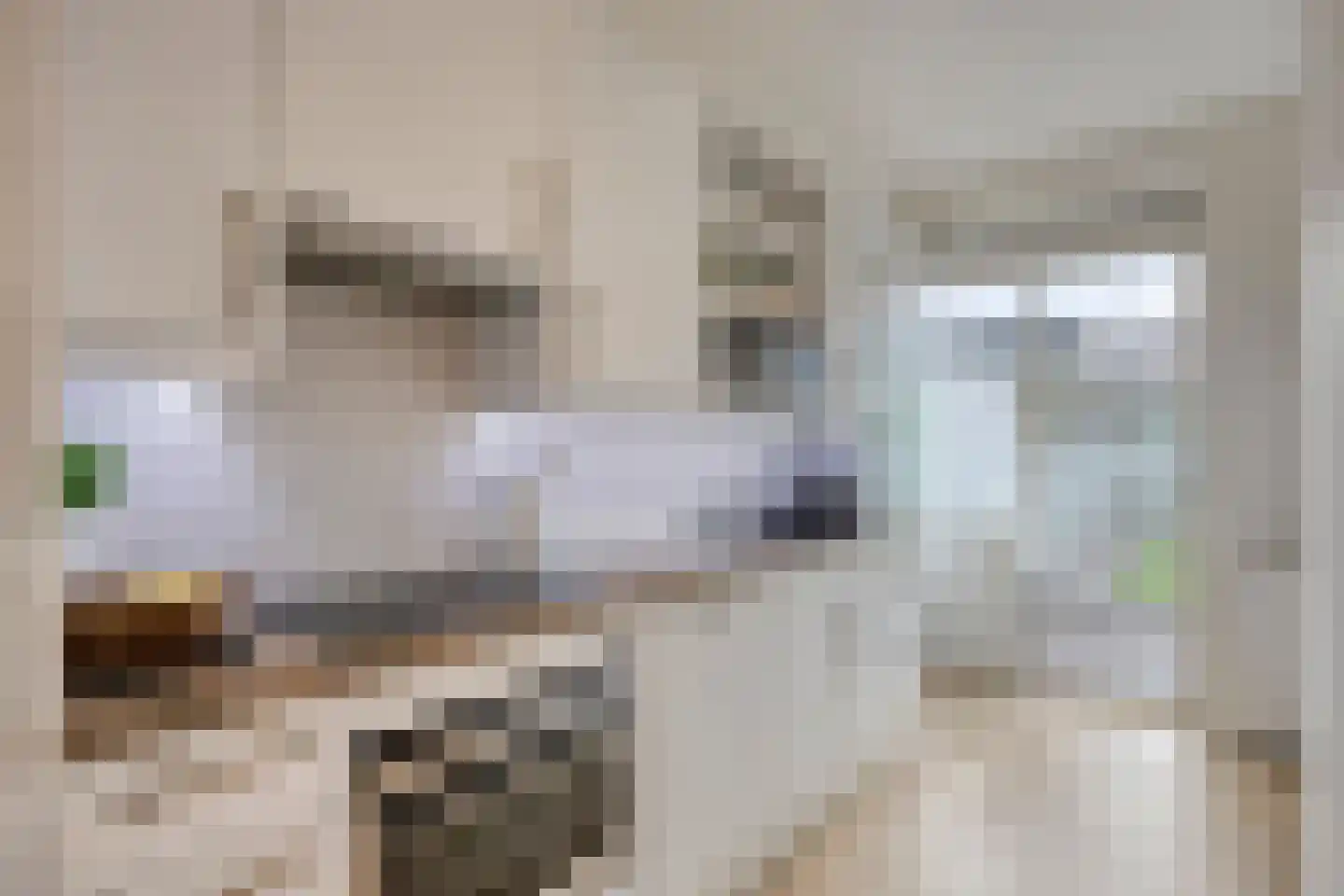 Soestdijksekade 727 Den Haag thumbnail 16