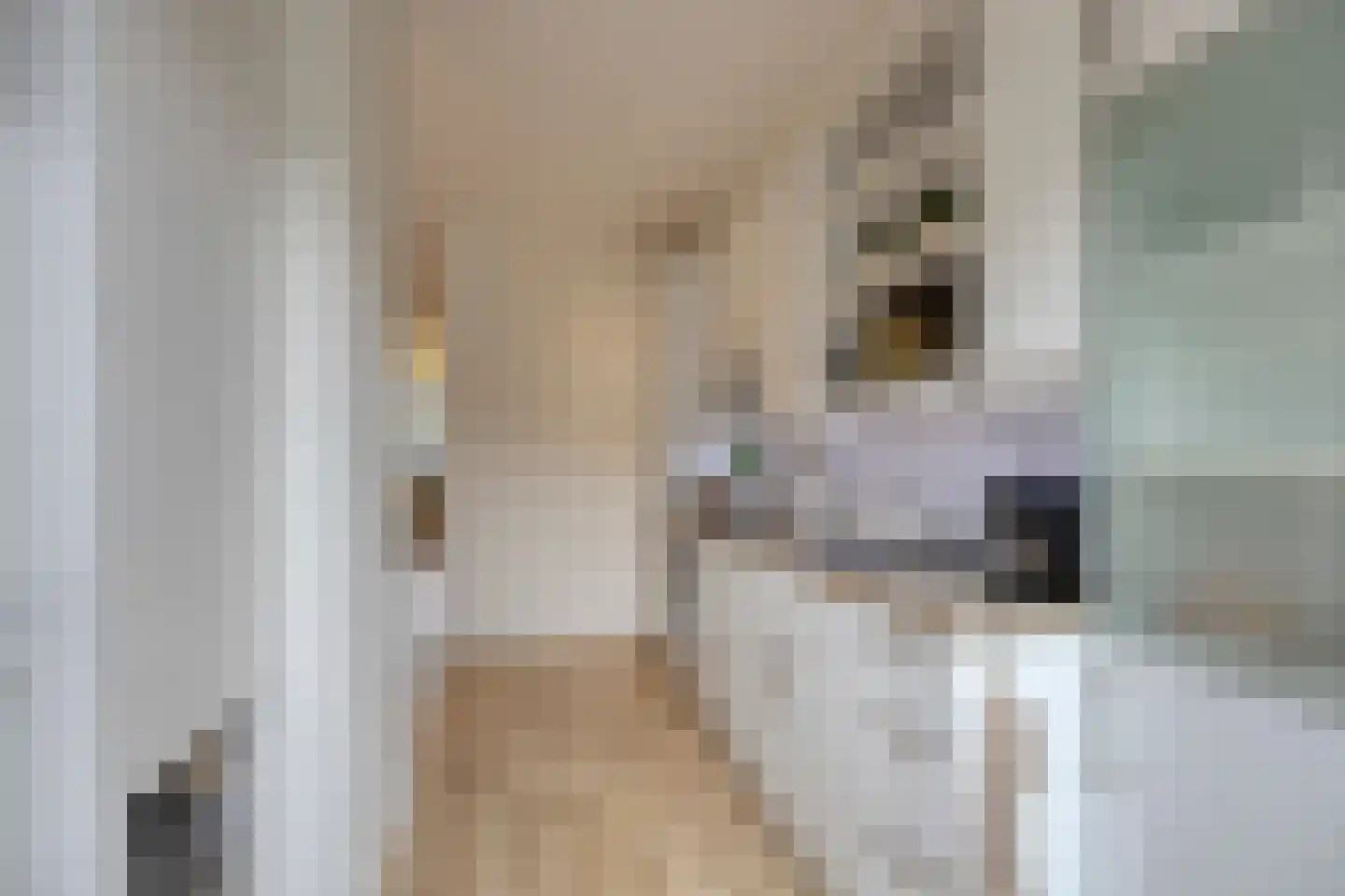 Soestdijksekade 727 Den Haag thumbnail 17